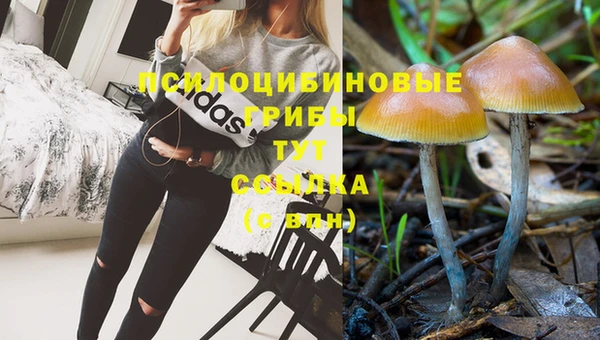 PSILOCYBIN Балабаново