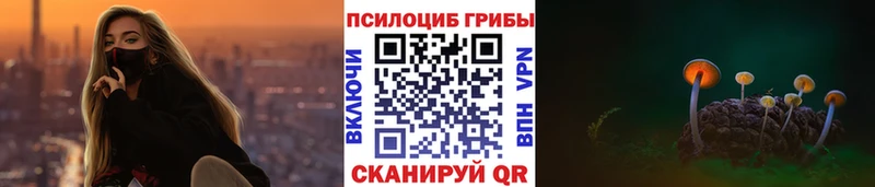 цены наркотик  Сухой Лог  Псилоцибиновые грибы Psilocybe 