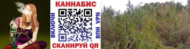 Каннабис семена  Сухой Лог 